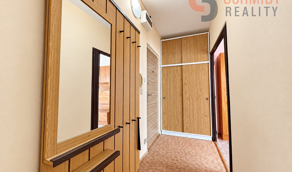 Prodej bytu 3+1 73 m², Veselí nad Moravou – náhled fotky 20
