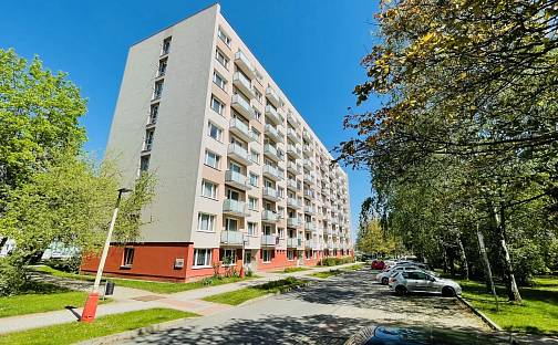 Prodej bytu 3+1 65 m², Buzulucká, Tábor