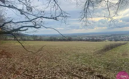 Prodej louky 27 123 m², Bělkovice-Lašťany, okres Olomouc