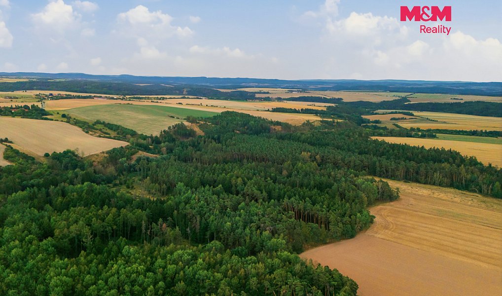 Prodej lesa 3 520 m², Břežany – náhled fotky 3