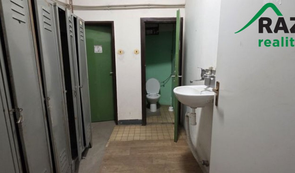 Pronájem výrobních prostor 249 m², Planá – náhled fotky 13