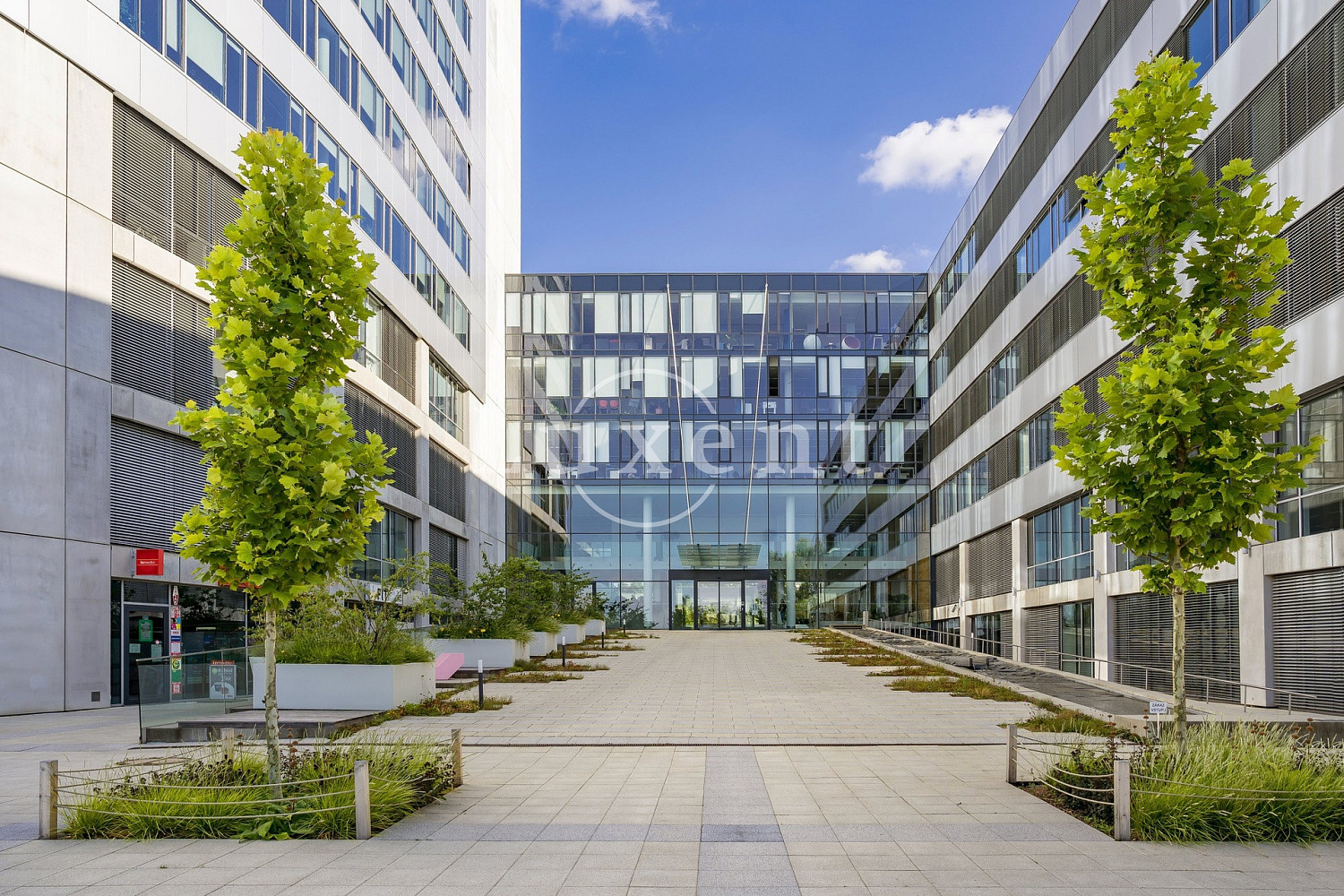 Pronájem obchodních prostor 630 m² – fotografie 3