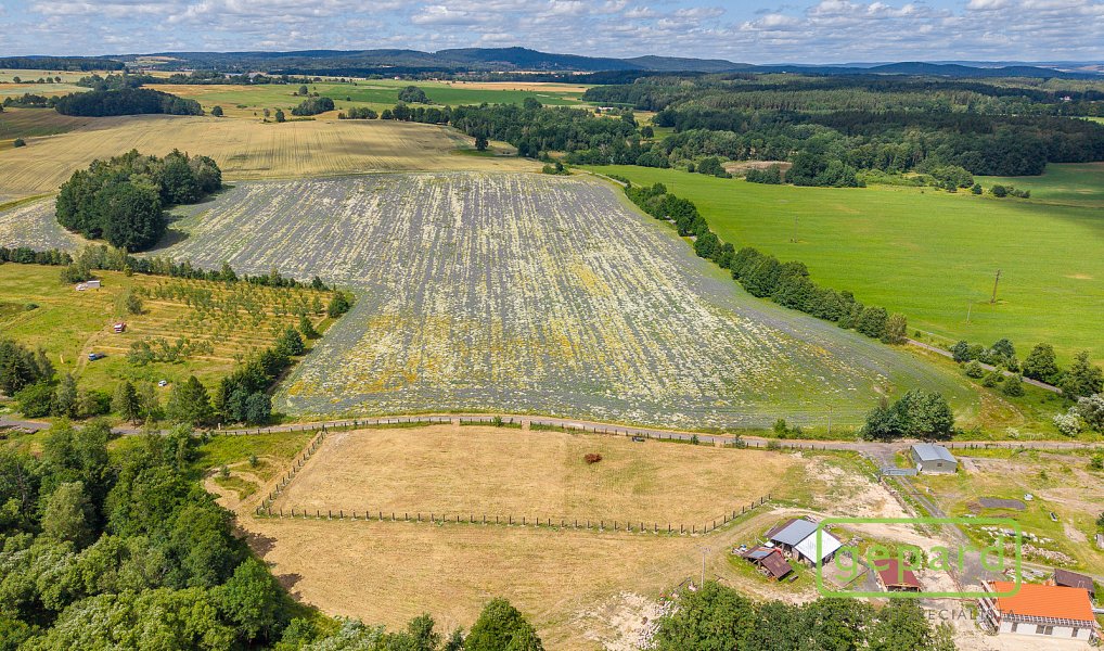 Prodej stavebního pozemku 1 129 m², Františkovy Lázně – náhled fotky 8