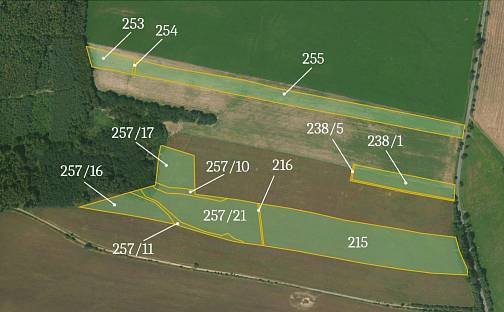 Prodej pole 77 951 m², Slabce - Modřejovice, okres Rakovník