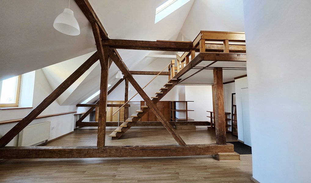 Pronájem bytu 1+kk 106 m², Plzeň – náhled fotky 6