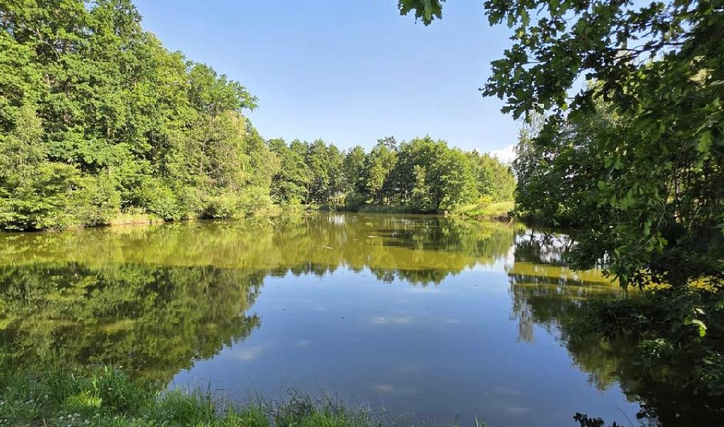 Prodej vodní plochy 18 189 m², Slezské Rudoltice – náhled fotky 8