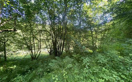 Prodej pozemku 3 924 m², Hartmanice, okres Klatovy