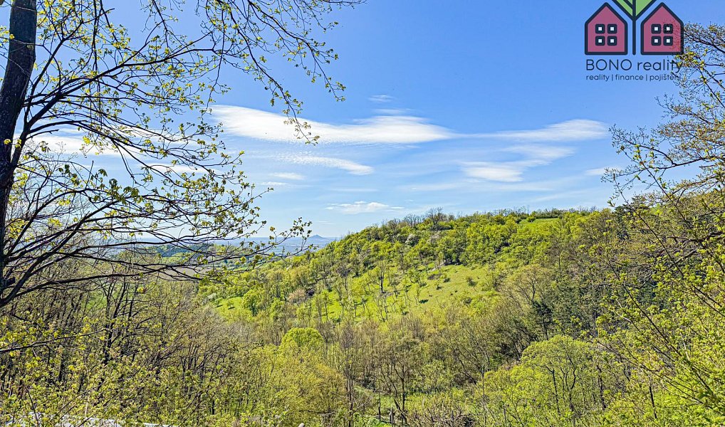 Prodej zahrady 4 999 m², Žitenice – náhled fotky 9