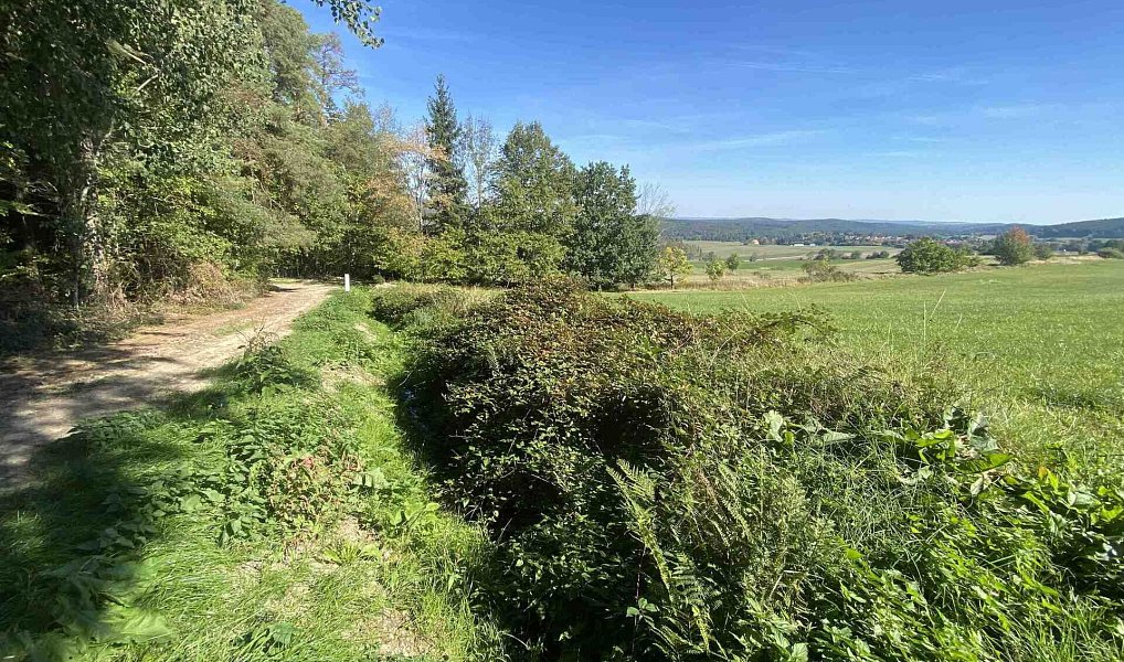 Prodej pozemku 5 614 m², Holubov – náhled fotky 5