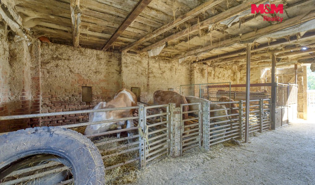 Prodej domu 70 m² s pozemkem 2 389 m², Čečovice – náhled fotky 24