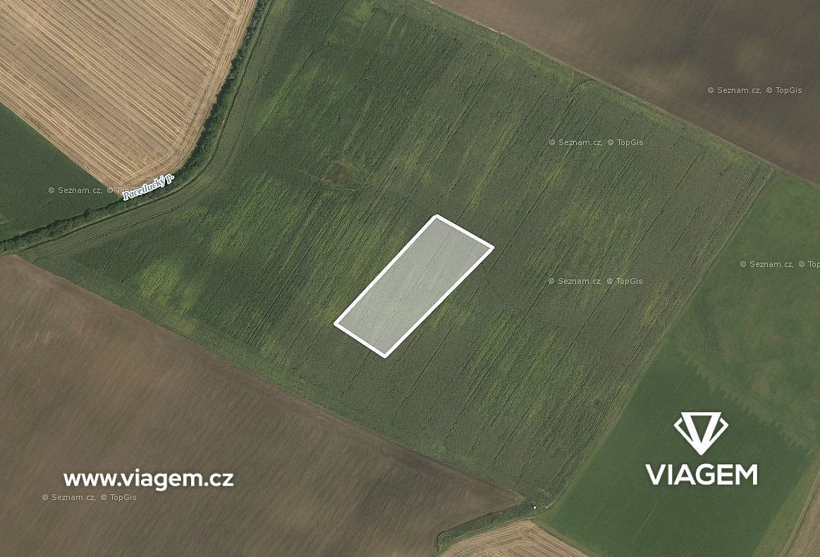 Prodej pole 1 196 m²