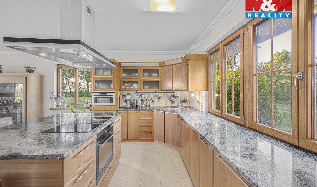 Prodej domu 360 m² s pozemkem 100 270 m², Kostomlaty nad Labem – náhled fotky 5