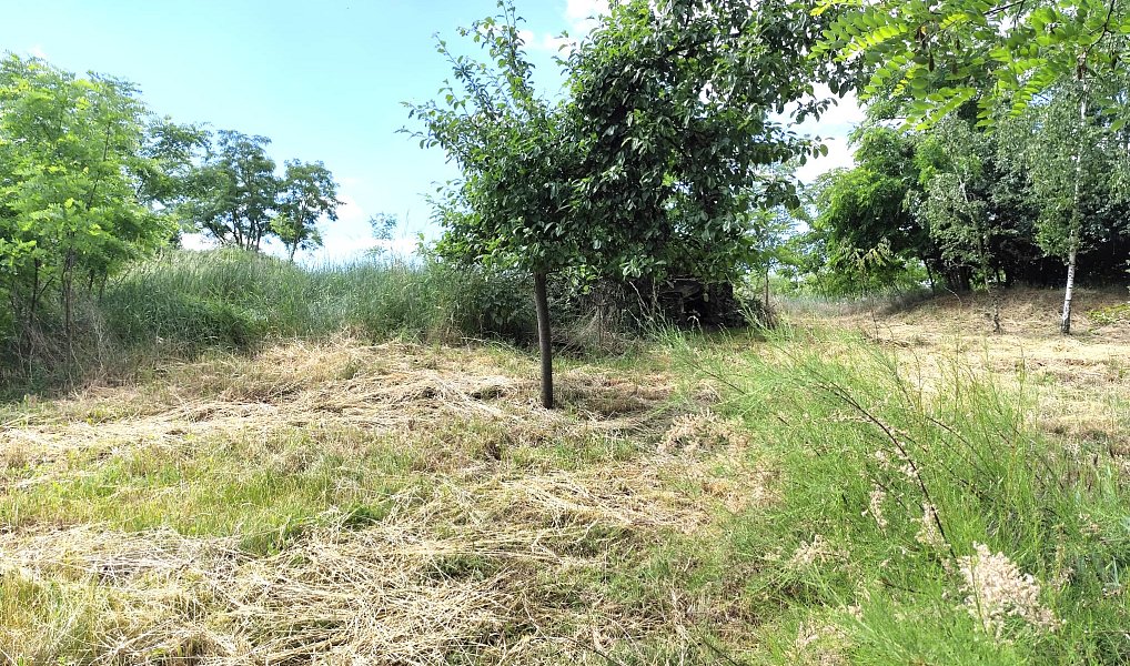 Prodej výrobních prostor 95 m², Chvalovice – náhled fotky 17