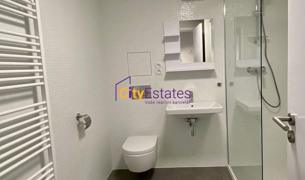 Pronájem bytu 2+kk 56 m², Praha – náhled fotky 12