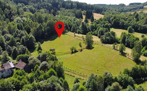 Prodej stavebního pozemku 4 589 m², Olešnice v Orlických horách, okres Rychnov nad Kněžnou