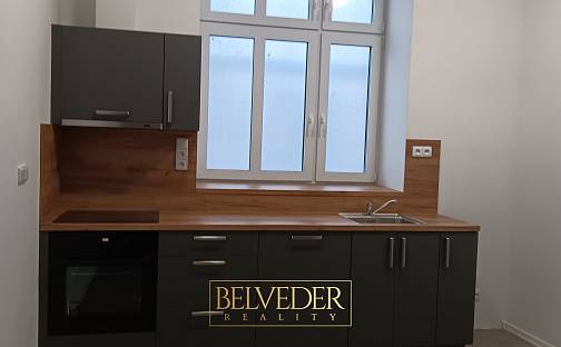 Pronájem bytu 3+kk 44 m², Pražská, Teplice - Prosetice