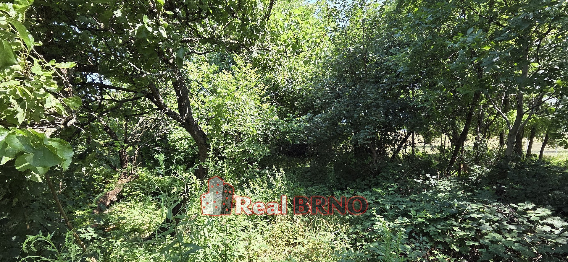 Prodej zahrady 2 207 m²