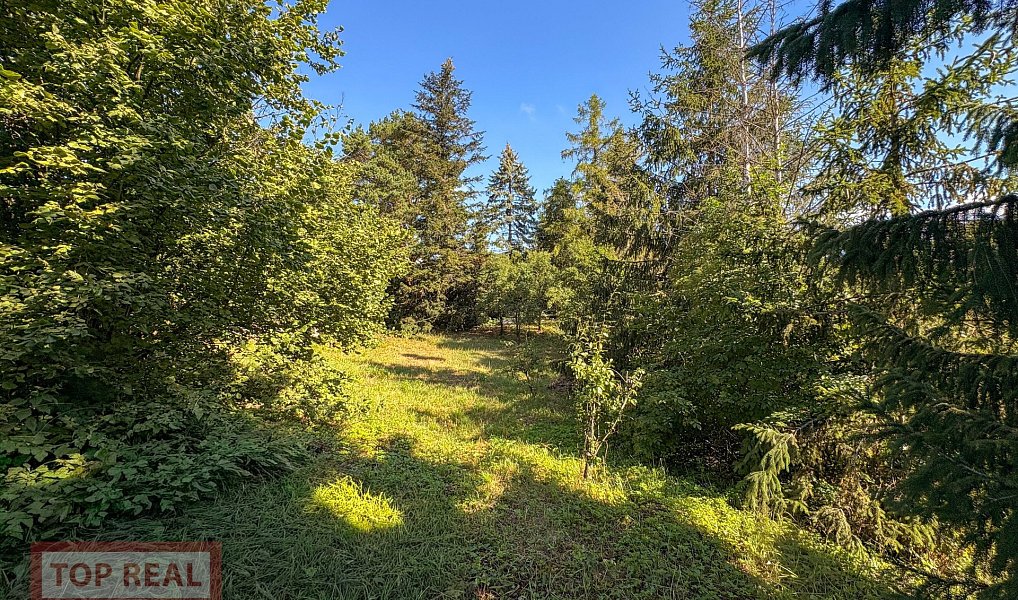 Prodej stavebního pozemku 1 062 m², Zdounky – náhled fotky 9