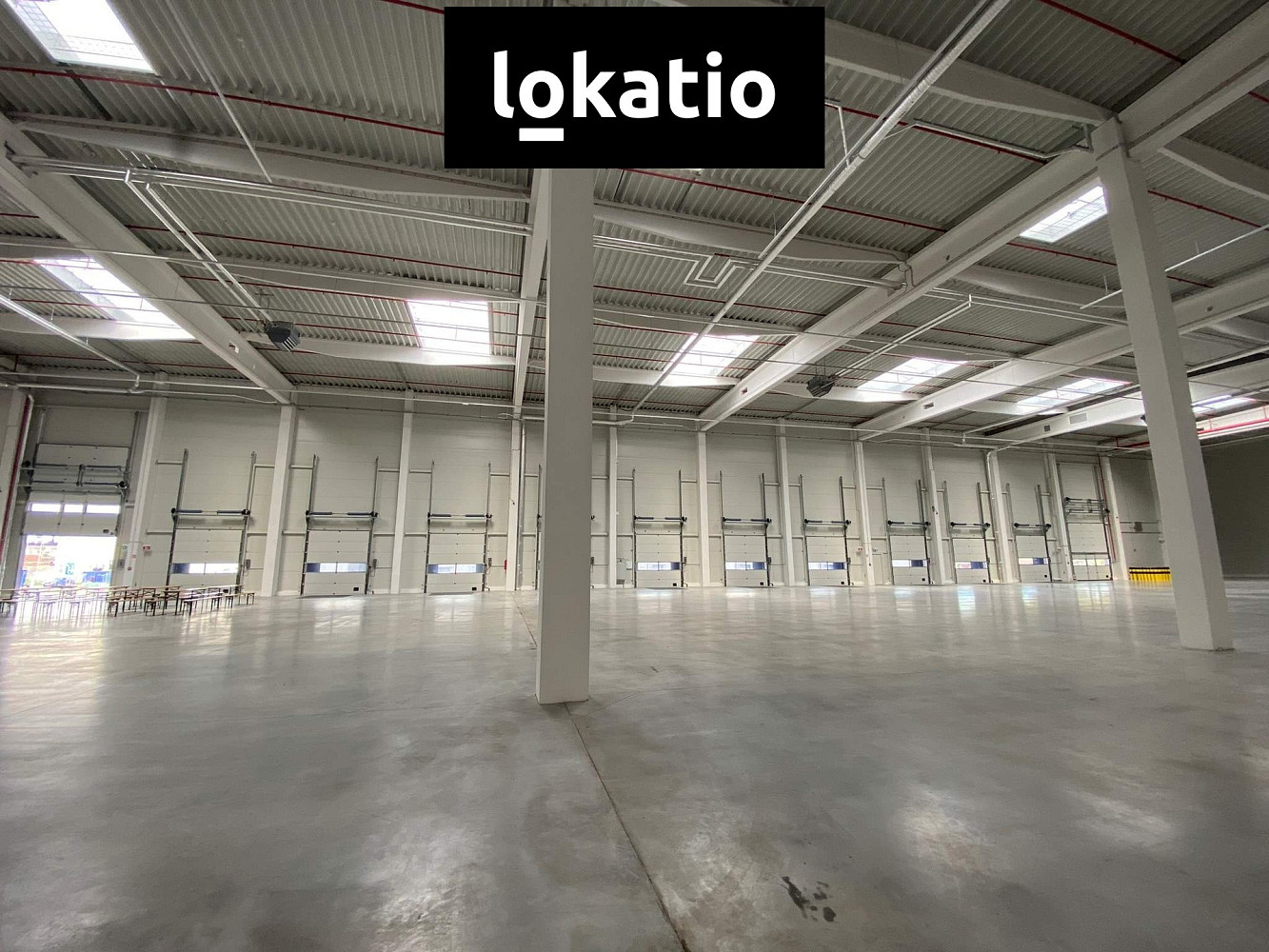 Pronájem skladovacích prostor 2 900 m² — photo 4