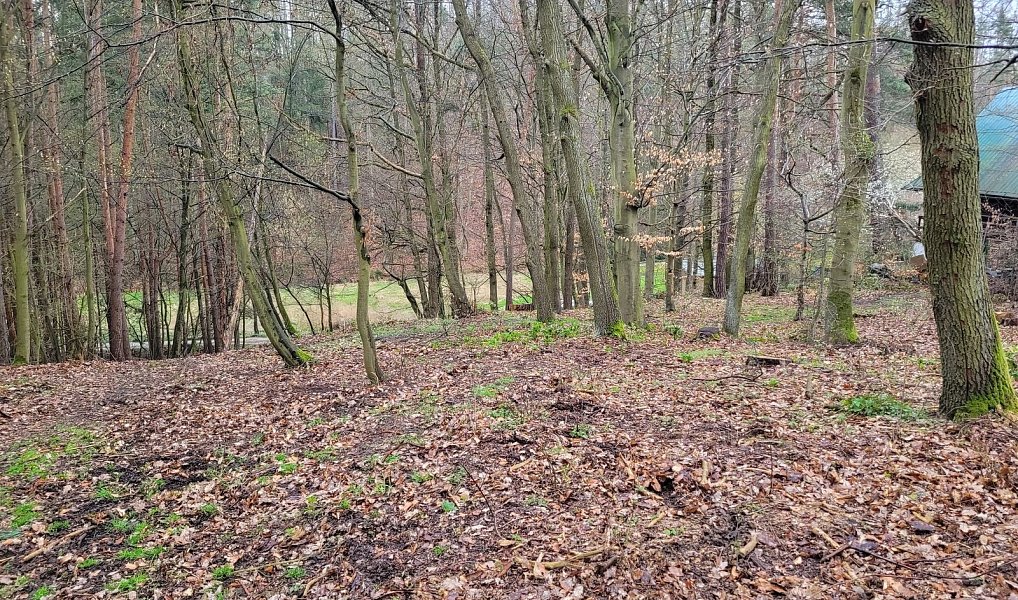 Prodej stavebního pozemku 1 246 m², Chyňava – náhled fotky 10