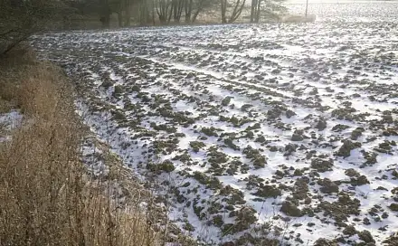 Dražba pole 2 951 m², Klatovy