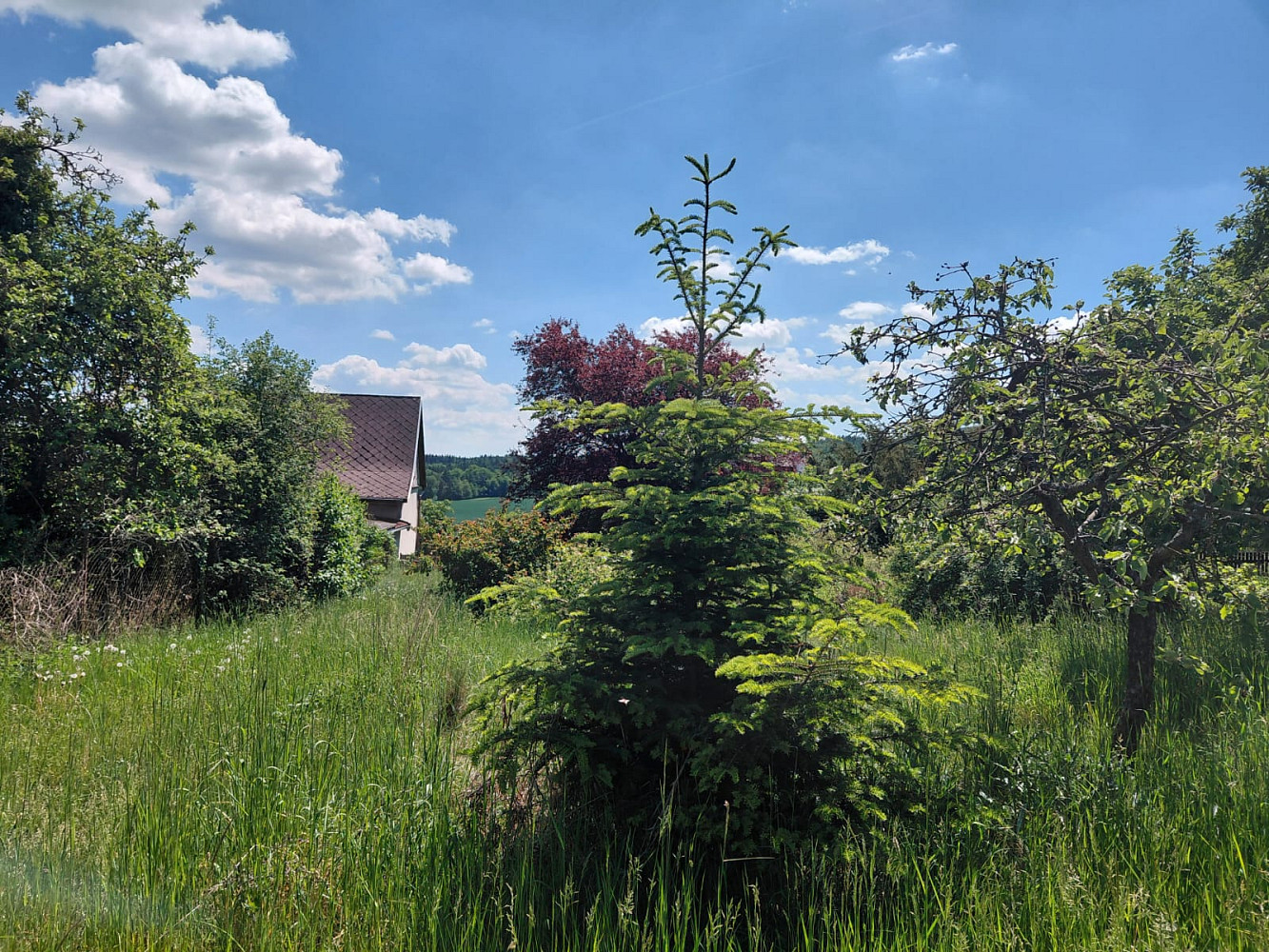 Pronájem zahrady 477 m² — photo 2