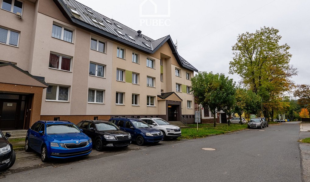 Prodej bytu 2+1 65 m², Železná Ruda – náhled fotky 15