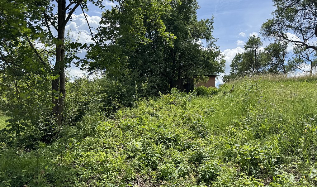 Prodej zahrady 731 m², Brno – náhled fotky 6
