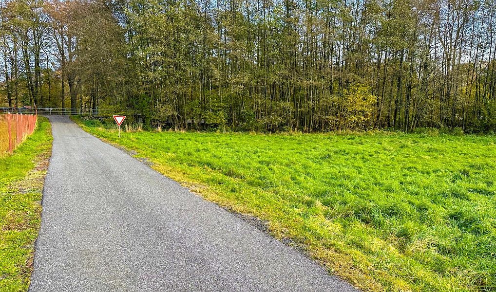 Prodej louky 3 903 m², Krásný Les – náhled fotky 5