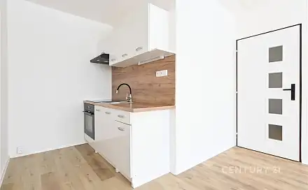 Prodej bytu 2+kk 40 m², Františka Malíka, Most