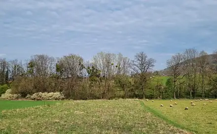 Pronájem pole 850 m², Novojičínská, Štramberk, okres Nový Jičín