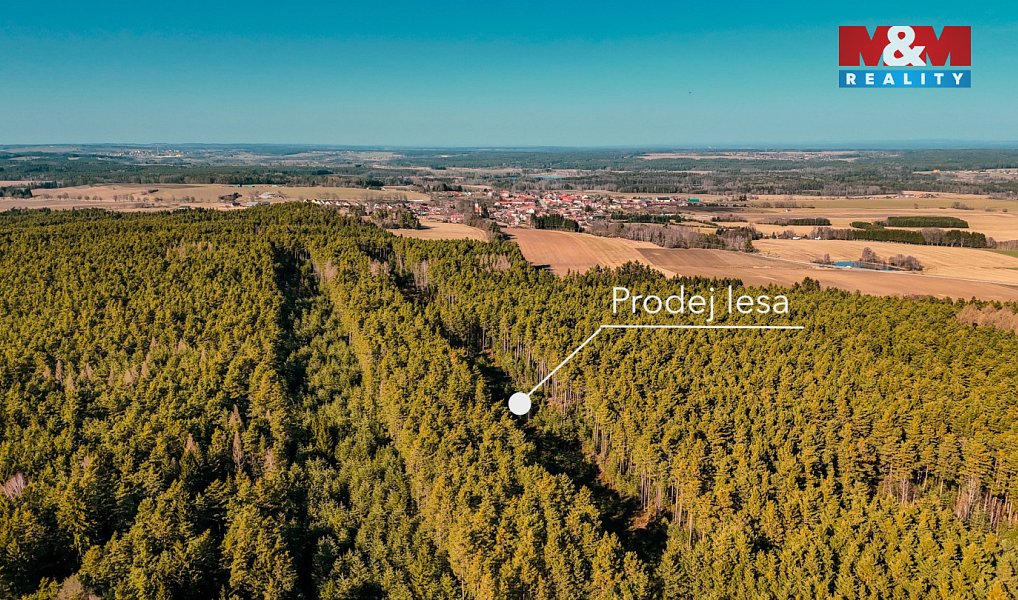 Prodej lesa 18 382 m², Olešnice – náhled fotky 2