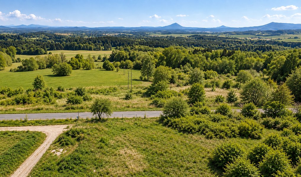 Prodej stavebního pozemku 2 002 m², Svojkov – náhled fotky 3