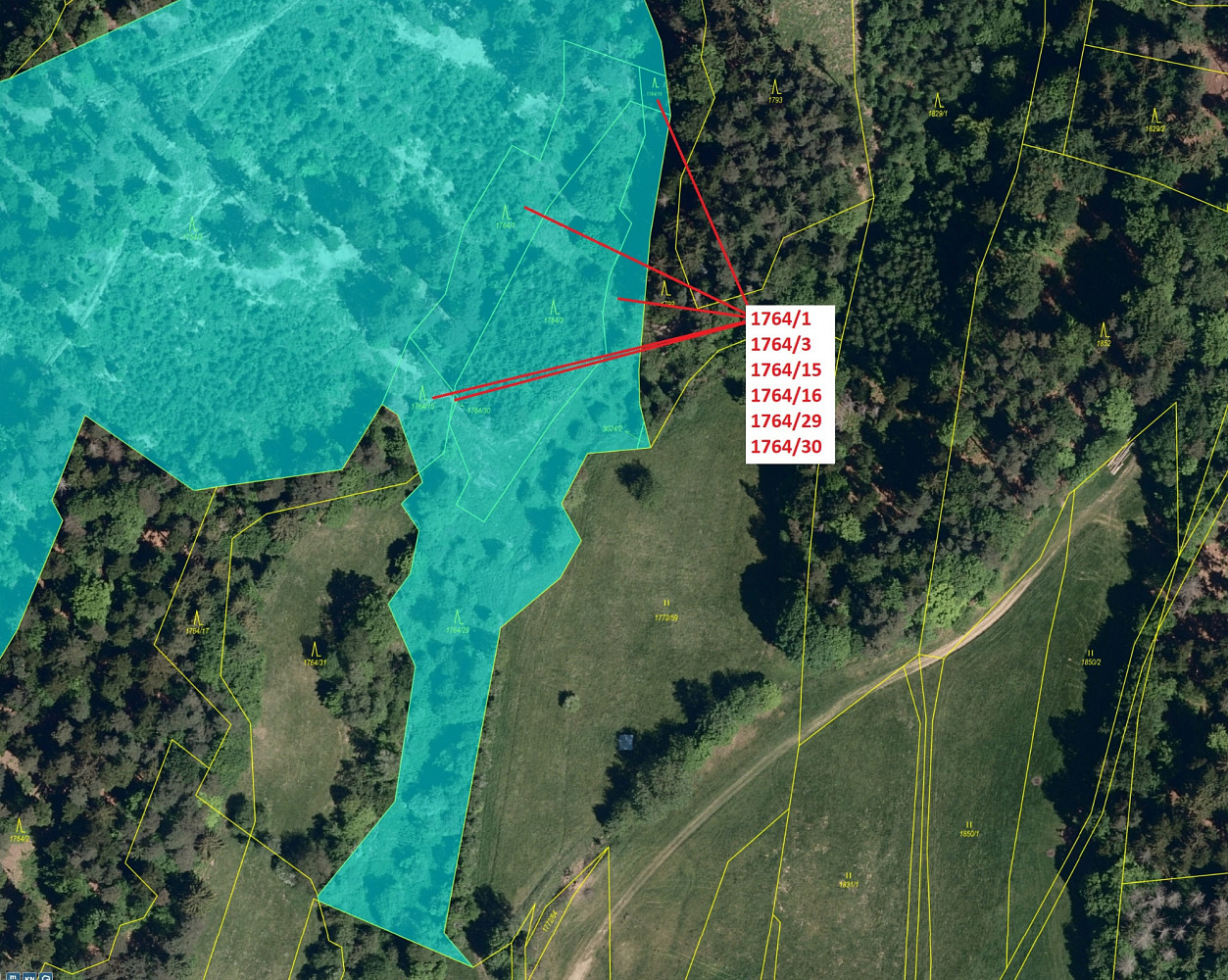 Dražba lesa 10 498 m² – pohled 2