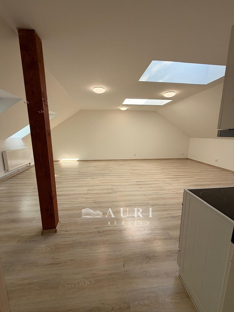 Pronájem bytu 1+kk 58 m²