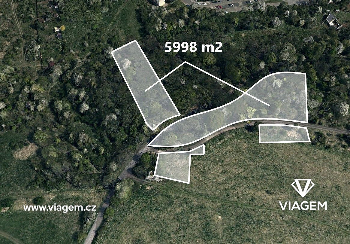 Prodej lesa 5 998 m²