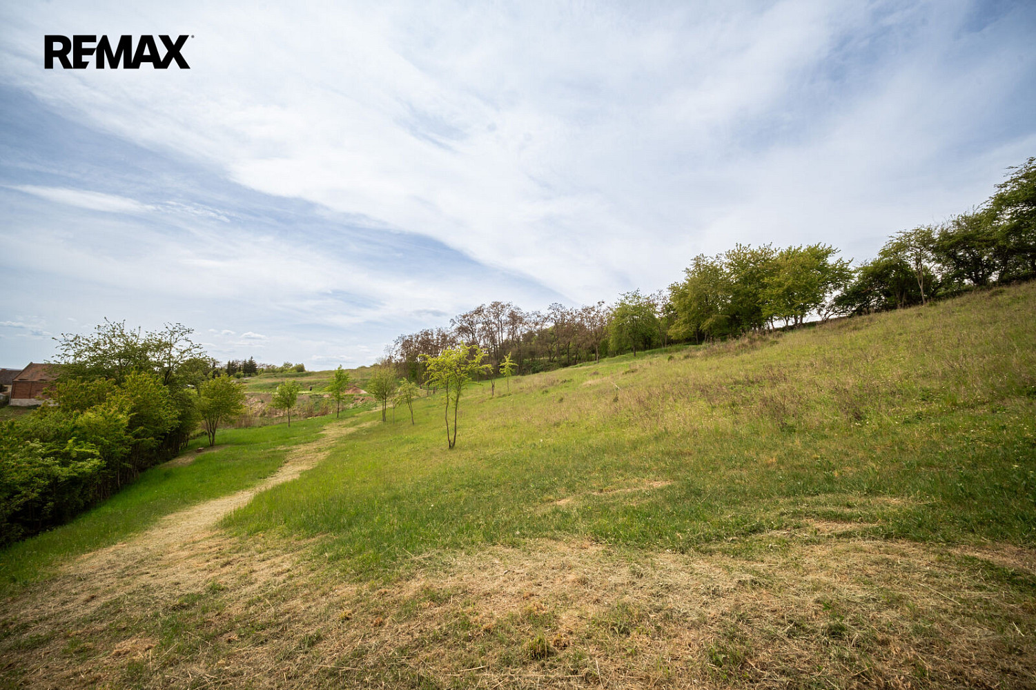 Prodej pozemku 12 056 m² – fotografie 4