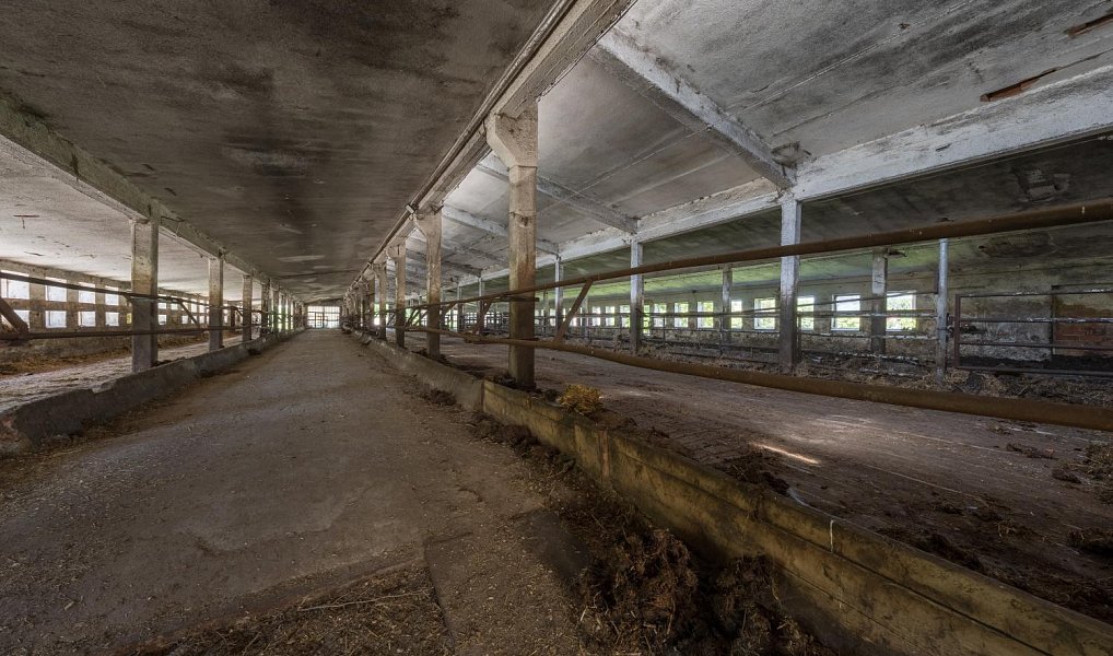 Prodej zemědělského objektu 1 400 m², Korouhev – náhled fotky 7