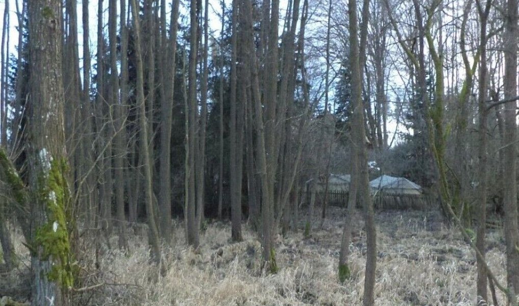 Prodej pozemku 5 244 m², Kočov – náhled fotky 6