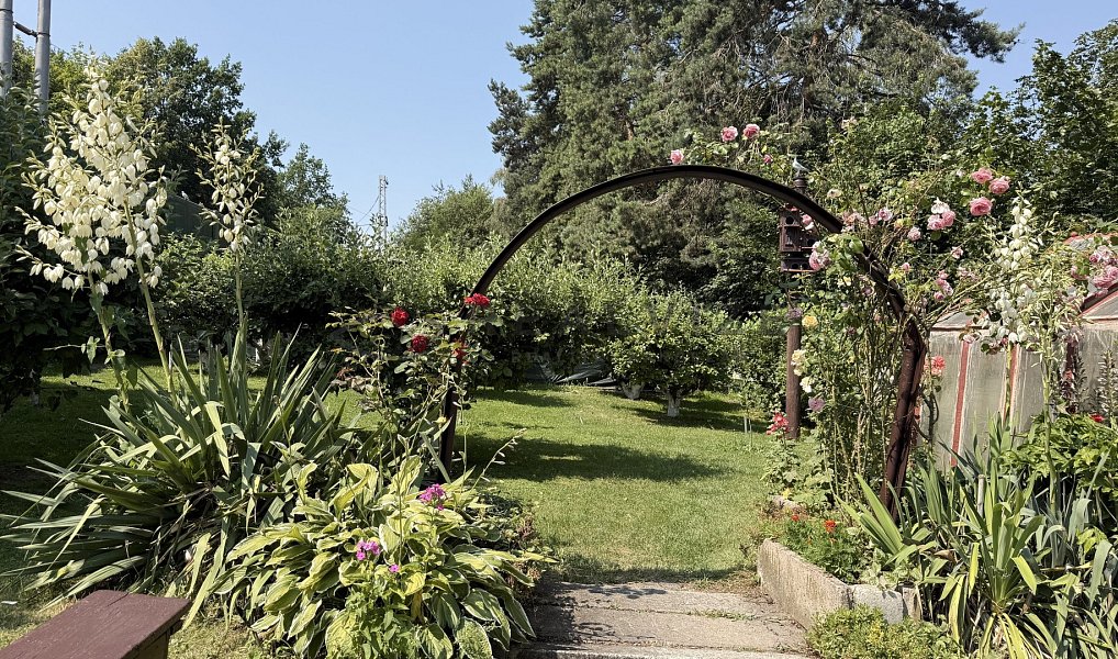 Prodej chaty/chalupy 41 m² s pozemkem 422 m², Boršov nad Vltavou – náhled fotky 14