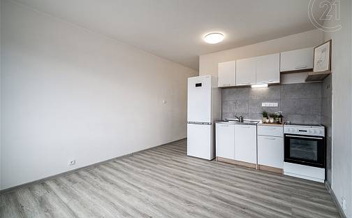 Prodej bytu 1+kk 23 m², Přímětická, Znojmo