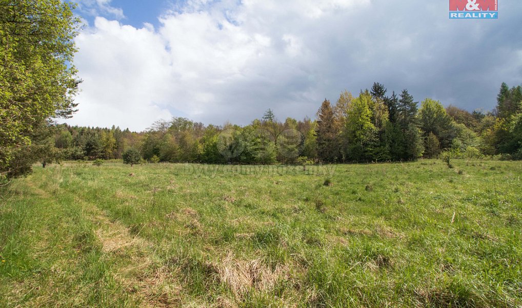 Prodej louky 3 586 m², Velenov – náhled fotky 3