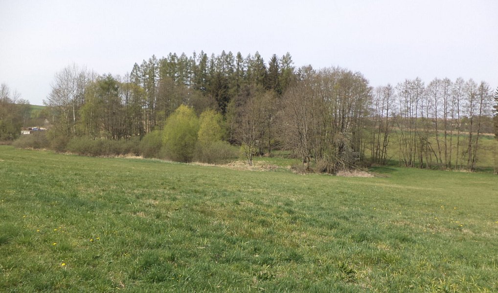 Prodej pole 8 388 m², Mezno – náhled fotky 5
