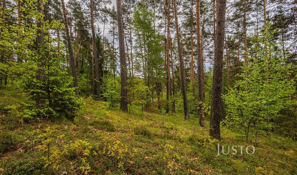 Prodej stavebního pozemku 1 647 m², Hamr na Jezeře – náhled fotky 6
