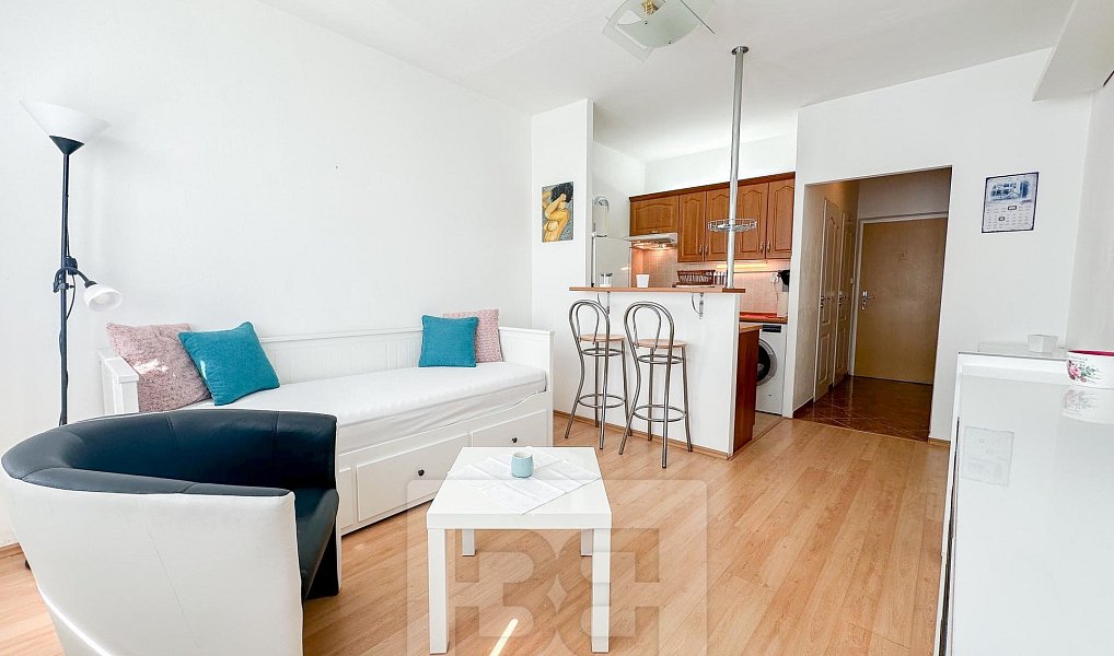 Pronájem bytu 1+kk 24 m², Praha – náhled fotky 4
