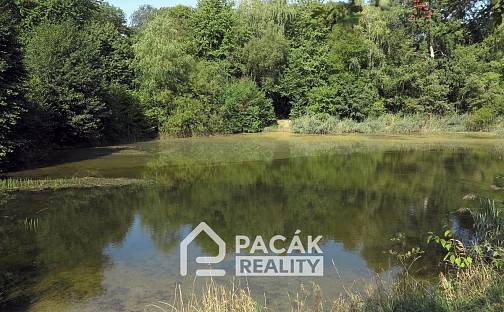 Prodej pozemku 15 995 m², Kožušany-Tážaly - Kožušany, okres Olomouc