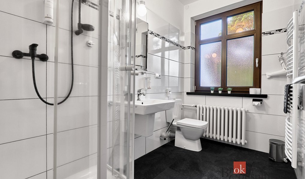 Prodej komerčního objektu (jiného typu) 800 m², Nejdek – náhled fotky 39
