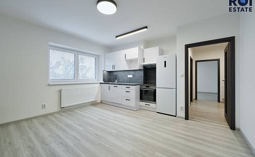 Pronájem bytu 3+kk 60 m², U mlýna, Rousínov, okres Vyškov
