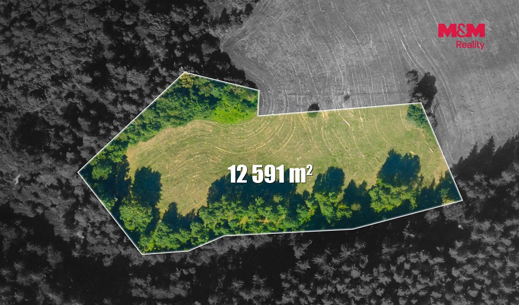 Prodej louky 12 591 m², Český Dub – náhled fotky 8