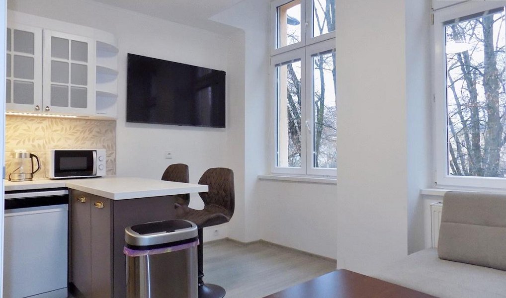 Pronájem bytu 2+1 53 m², Teplice – náhled fotky 13